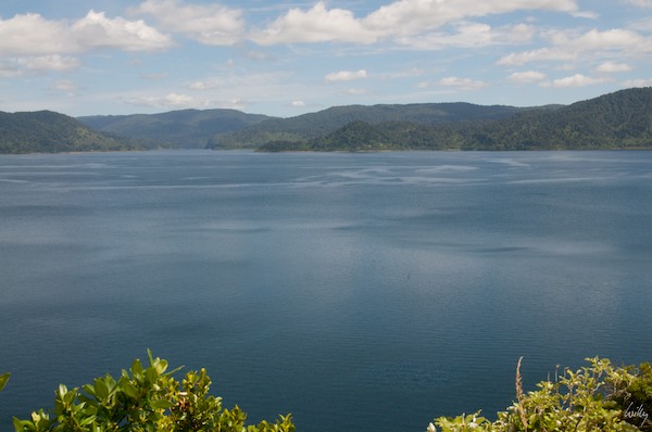 NewZealand 09 10  072